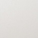 アイボリー 塗り壁調 汚れ防止 抗菌 表面強化 防かび   ルノン RH-9369