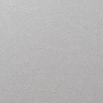 グレー 塗り壁調 汚れ防止 抗菌 表面強化 防かび   ルノン RH-9371