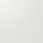 シャドーホワイト 塗り壁調 汚れ防止 抗菌 表面強化 防かび   ルノン RH-9373