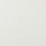 シャドーホワイト 塗り壁調 汚れ防止 抗菌 表面強化 防かび   ルノン RH-9376