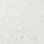 シャドーホワイト 塗り壁調 汚れ防止 抗菌 表面強化 防かび   ルノン RH-9376