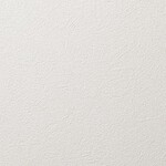 シャドーホワイト 塗り壁調 抗アレルギー 防かび 抗菌   ルノン RH-9424