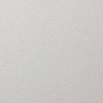 ライトグレー 塗り壁調 抗アレルギー 防かび 抗菌   ルノン RH-9425