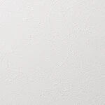 ホワイト 塗り壁調 抗アレルギー 防かび 抗菌   ルノン RH-9429