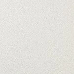 シャドーホワイト 塗り壁調 防かび 表面強化 消臭 透湿性   ルノン RH-9442